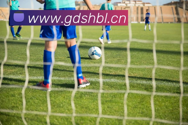 巅峰国际app官方网址APP 封面图